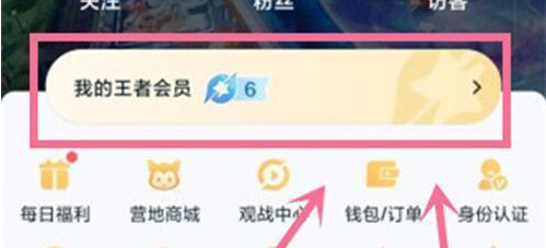 《王者荣耀》星会员入口位置