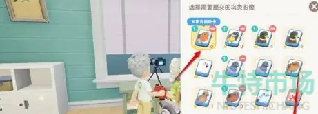 《心动小镇》鸟食获取方法