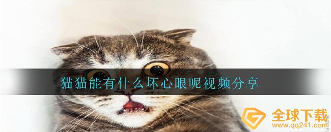 猫猫能有什么坏心眼呢视频分享