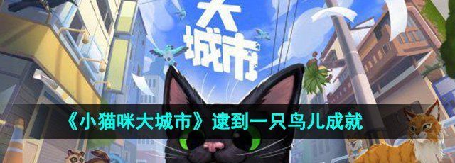 《小猫咪大城市》逮到一只鸟儿成就攻略