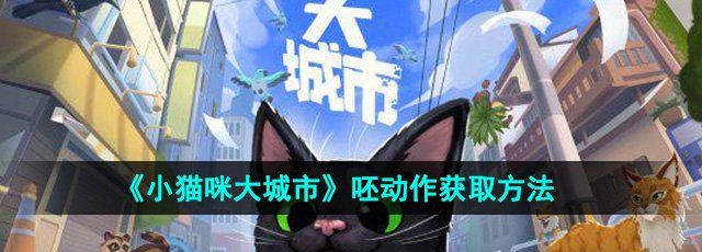 《小猫咪大城市》呸动作获取方法