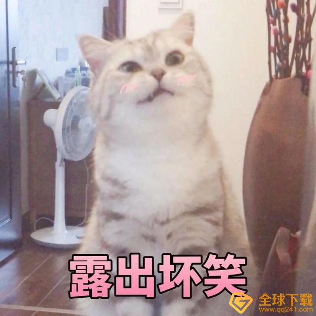 猫猫能有什么坏心眼呢梗意思说明