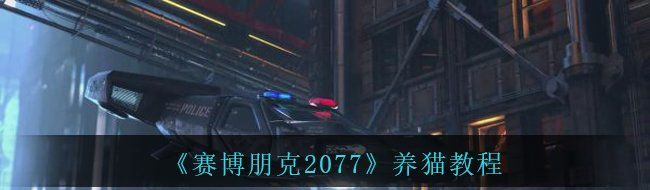 《赛博朋克2077》养猫教程