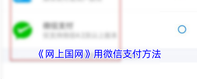《网上国网》用微信支付方法